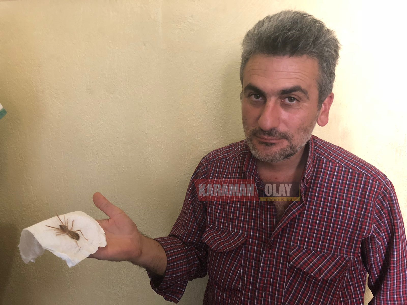 karaman da sarikiz bocegi panigi