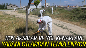 BOŞ ARSALAR VE YOL KENARLARI YABANİ OTLARDAN TEMİZLENİYOR