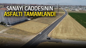 SANAYİ CADDESİNİN ASFALTI TAMAMLANDI