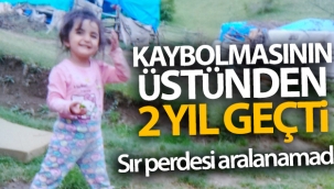 Evrim’in kaybolmasının üzerinden 2 yıl geçti, sır perdesi aralanamadı