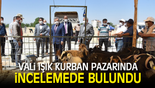 Vali Işık Kurban Pazarında İncelemelerde Bulundu