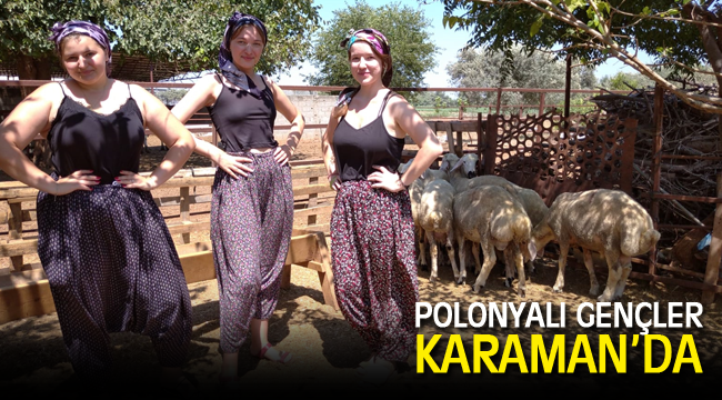 Polonyalı Gençler Karaman'da