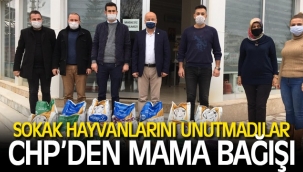 SOKAK HAYVANLARINI UNUTMADILAR!