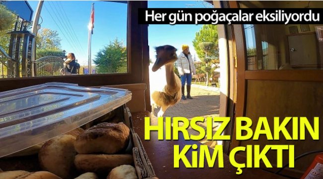 Her gün poğaçalar eksiliyordu, hırsız bakın kim çıktı