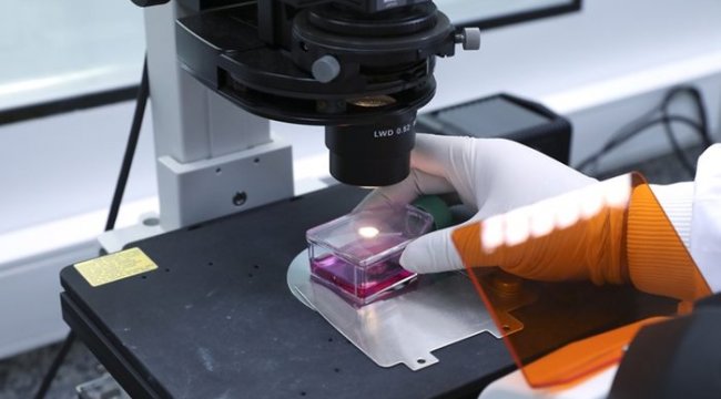 SMA ilaçları neden pahalı? SMA hastalığı nedir? SMA hastalığı tedavi edilebilir mi?