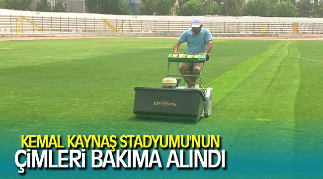 KEMAL KAYNAŞ STADYUMU'NUN ÇİMLERİ BAKIMA ALINDI