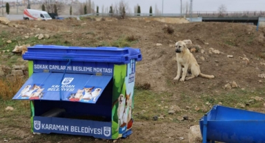 SOKAK CANLARI İÇİN DAHA MODERN BESLEME NOKTALARI YAPILIYOR