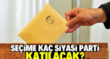 2023 seçimlerine kaç siyasi parti katılacak?