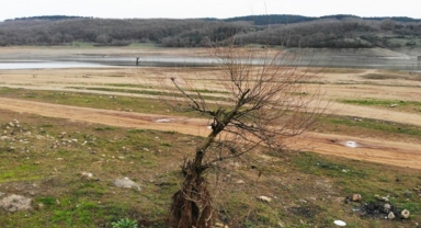 Yağışlarda azalma var Ankara Konya Kayseri Eskişehir Sivas  Kırıkkale Aksaray Karaman hepsi listede...