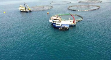 Su ürünleri ihracatından 1,7 milyar dolar gelir elde edildi