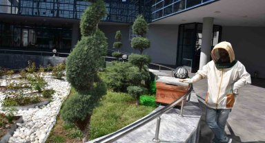 Belediyenin bahçesine konan oğul paniğe yol açtı