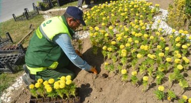 Ereğli Belediyesi park ve refüjlere çiçek dikimini sürdürüyor