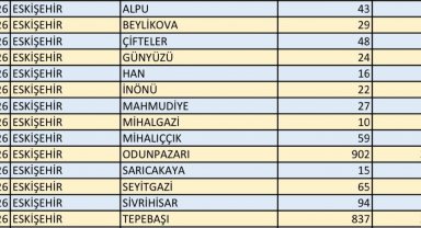 Eskişehir'de 688 bin 989 seçmen 2 bin 191 sandıkta oy kullanacak