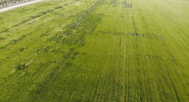 Karadeniz'den çıkan doğal gazla kurulacak gübre fabrikaları çiftçileri umutlandırdı