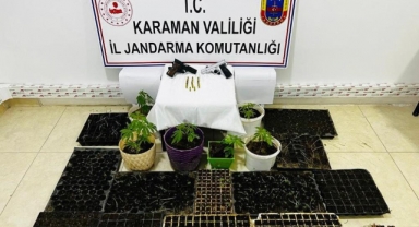 Karaman'da fide tüplerinde ekilmiş kenevir ele geçirildi