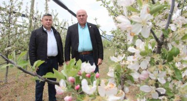 Karaman'da 12 milyon elma ağacı aynı anda çiçek açtı