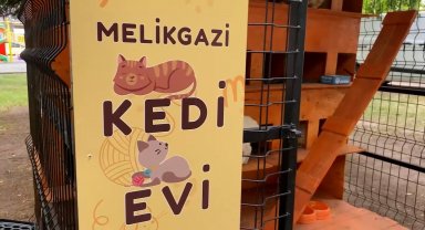 Melikgazi sokaklardaki can dostlar için kedi evleri yaptı