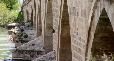 Tarihi köprü adeta kuşlara yuva oldu