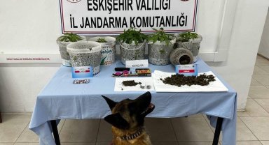 Uyuşturucu madde yetiştiren şahıslar Jandarma köpeği Akça'dan kaçamadı
