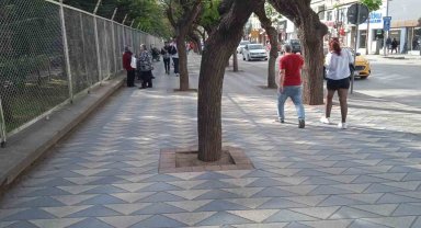 Yüzlerce metre uzunluğundaki bu kaldırımda hiç bir çöp kutusu yok