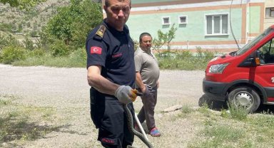 Apartmana giren yılanı itfaiye ekipleri yakaladı