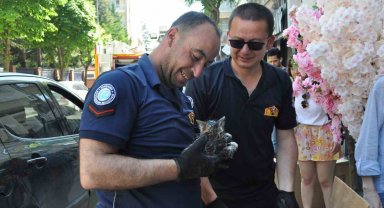 Aracın altına sıkışan yavru kedi itfaiye ekiplerince kurtarıldı