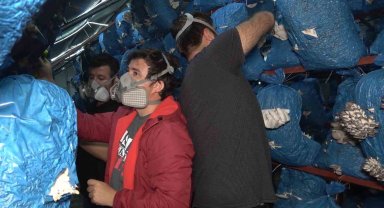 Çocukluk arkadaşı 3 mühendis istiridye mantarı üretiyor: Kilosu 70 liradan satılıyor