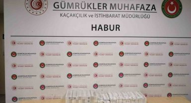 Habur Sınır Kapısı'nda bin 250 paket kaçak sigara ele geçirildi