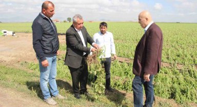 Karaman'da dolu ekili arazilere zarar verdi, tarlalar kış mevsimi gibi beyaza büründü