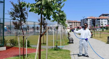 Mamak Belediyesi'nden çevre dostu biyolojik mücadele