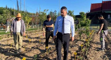Pursaklar'da ata tohumları ata bahçesinde toprakla buluştu