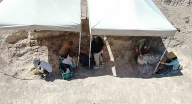 7,5 milyon yıllık kazılarda insan arayışı devam ediyor
