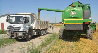 Adabağ'da yılın ilk organik tarım hasadı başladı
