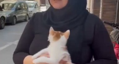 Balkonda mahsur kalan yavru kediyi itfaiye kurtardı