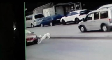 Başkentte köpeğe çarpıp kaçan sürücü güvenlik kameralarına yakalandı