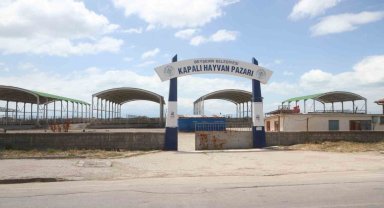 Beyşehir hayvan pazarı şap hastalığı nedeniyle kapatıldı