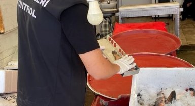 Beyşehir'de yasa dışı avcılık denetleniyor