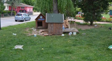 Böyle köpek besleme olur mu?