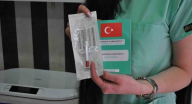Evcil hayvanıyla birlikte seyahat etmeyi düşünenler bu prosedürlere dikkat etmeli