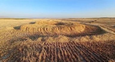 Hasat yapılacak ekili arazide oluşan obruk korkuttu