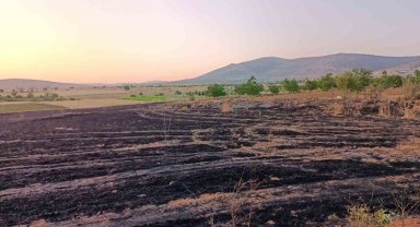 Hüyük'te arpa ekili arazi alevlere teslim oldu