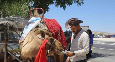 Kapadokya'da sıcaktan bunalan develer dondurma ile serinliyor