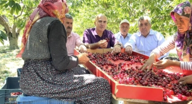 Karaman Ziraat Odası Başkanı Bayram: 