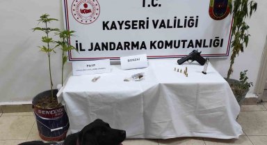 Kenevir Yetiştiren Şahıs Yakalandı
