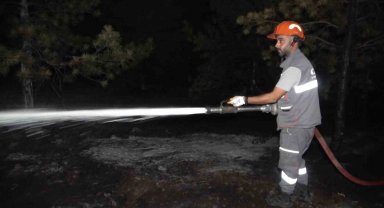 Kırıkkale'de orman yangını