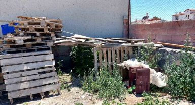 Konya'da 40 kök kenevir ele geçirildi