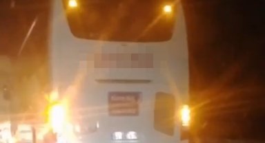 Koyun sürüsüne otobüs çarptı, hayvanlar telef oldu