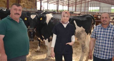 Macar düveler Beylikova'ya geldi
