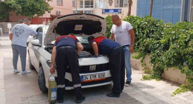 Otomobilinin marşına kedi için basamıyor