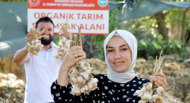 Rusya ve Almanya'nın organik antibiyotiği Aksaray'dan